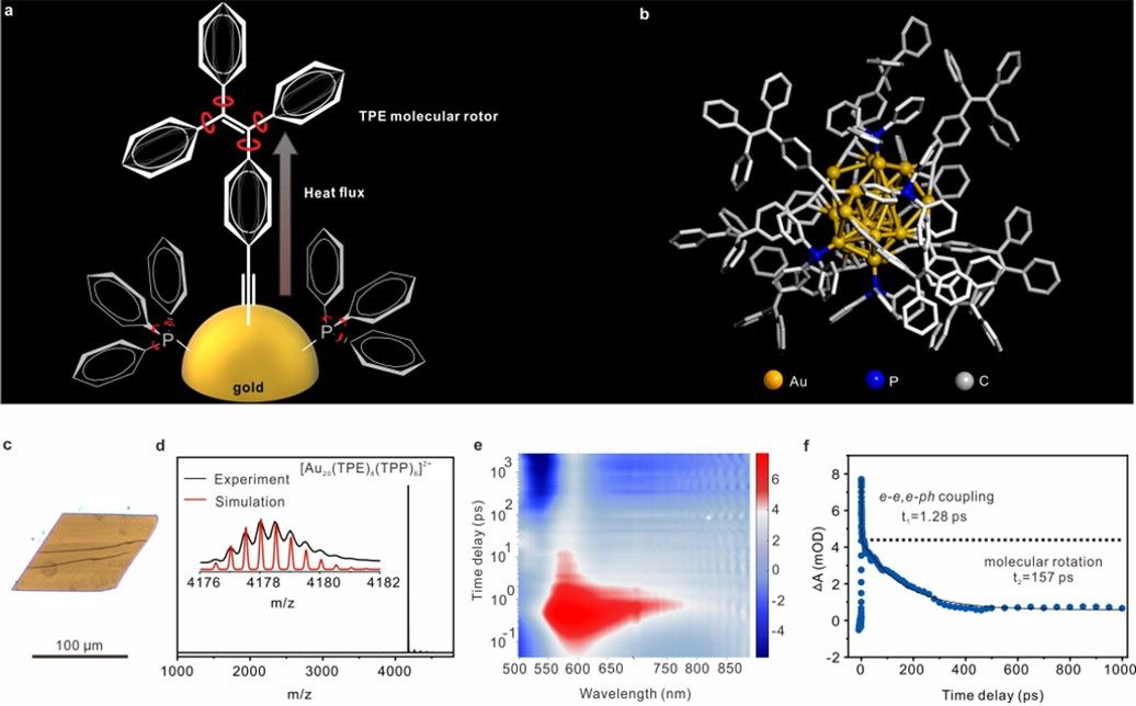 20231116-1-1.jpg 20231116-1-1.jpg