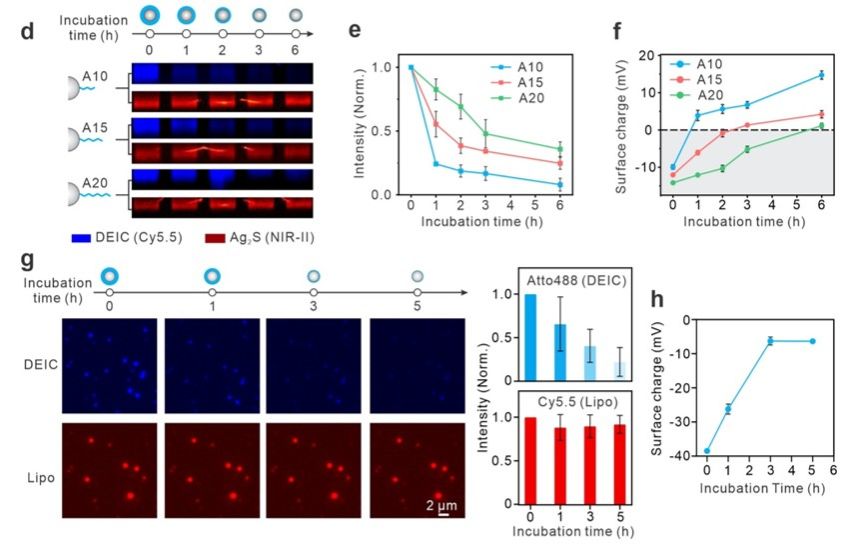 20240902-1-2.jpg 20240902-1-2.jpg